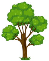 nature & Tree free transparent png image.