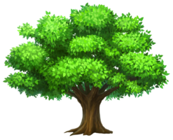 nature & tree free transparent png image.