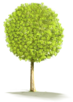 nature & tree free transparent png image.