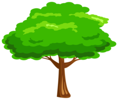 nature & tree free transparent png image.