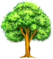 nature & Tree free transparent png image.