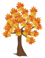 nature & Tree free transparent png image.