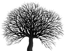 nature & tree free transparent png image.