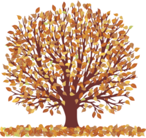 nature & Tree free transparent png image.