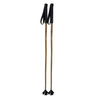 sport & trekking pole free transparent png image.