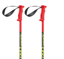 sport & trekking pole free transparent png image.