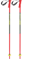 sport & trekking pole free transparent png image.