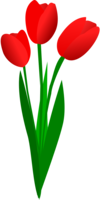 flowers & tulip free transparent png image.