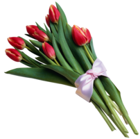 flowers & Tulip free transparent png image.