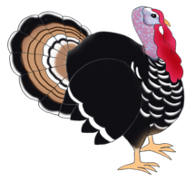 animals & Turkey free transparent png image.