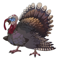 animals & turkey free transparent png image.