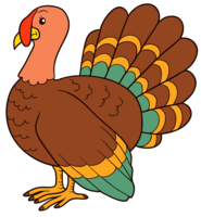 animals & turkey free transparent png image.