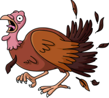 animals & turkey free transparent png image.