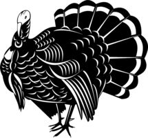 animals & turkey free transparent png image.