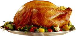 food & Turkey meat free transparent png image.