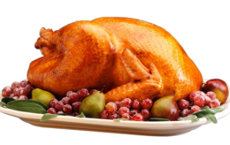 food & Turkey meat free transparent png image.