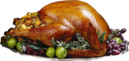 food & Turkey meat free transparent png image.