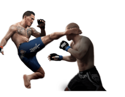 sport & UFC free transparent png image.