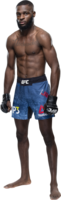 sport & ufc free transparent png image.