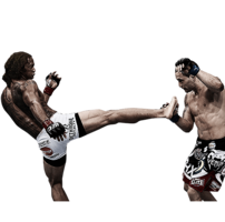 sport & ufc free transparent png image.