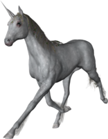 fantasy&Unicorn png image.