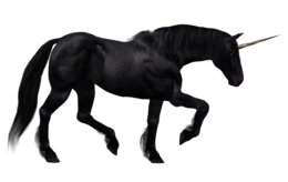 fantasy & Unicorn free transparent png image.