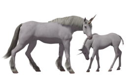 fantasy & Unicorn free transparent png image.