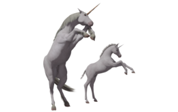 fantasy & unicorn free transparent png image.