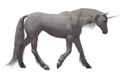 fantasy & unicorn free transparent png image.