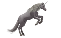 fantasy & Unicorn free transparent png image.