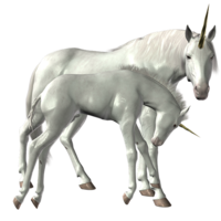 fantasy & unicorn free transparent png image.