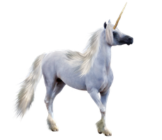 fantasy & unicorn free transparent png image.