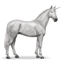 fantasy & unicorn free transparent png image.