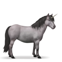 fantasy & unicorn free transparent png image.