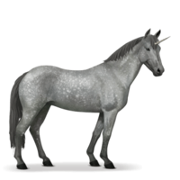 fantasy & unicorn free transparent png image.