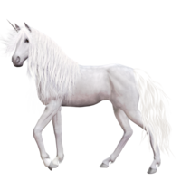 fantasy & unicorn free transparent png image.