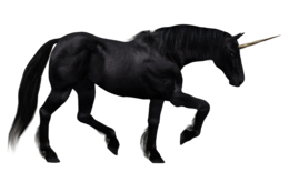 fantasy & unicorn free transparent png image.