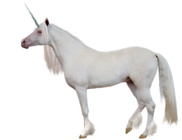 fantasy & Unicorn free transparent png image.