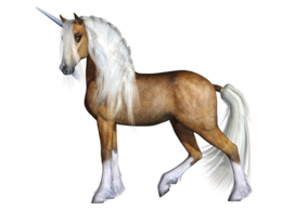 fantasy & unicorn free transparent png image.