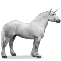 fantasy & unicorn free transparent png image.