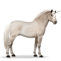 fantasy & unicorn free transparent png image.