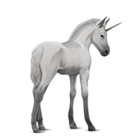 fantasy & Unicorn free transparent png image.