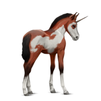 fantasy & unicorn free transparent png image.