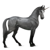 fantasy & Unicorn free transparent png image.