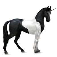 fantasy & unicorn free transparent png image.