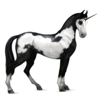 fantasy & Unicorn free transparent png image.