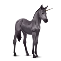 fantasy & unicorn free transparent png image.