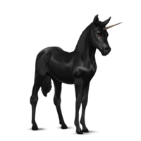 fantasy & unicorn free transparent png image.