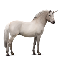 fantasy & unicorn free transparent png image.