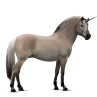 fantasy & Unicorn free transparent png image.